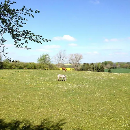Camping Treehouse Escape Kvaerndrup