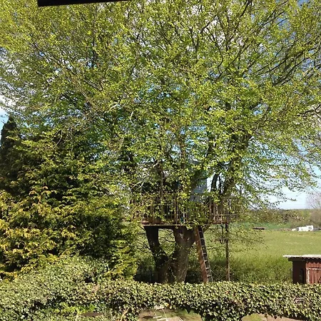 Treehouse Escape Campingplads *