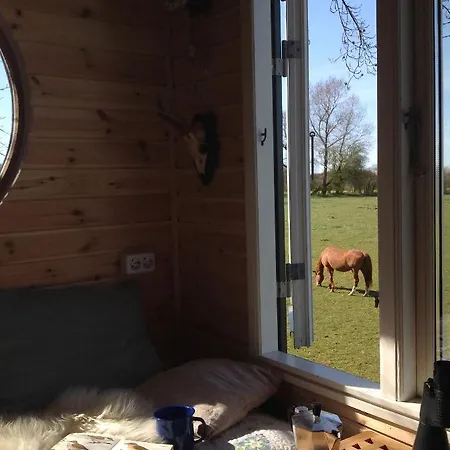 Campsite Treehouse Escape