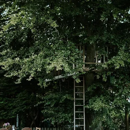 Treehouse Escape Campsite