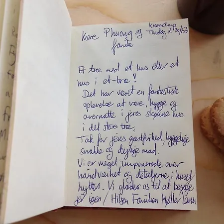 Treehouse Escape 캠프장 *