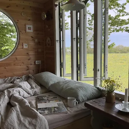 Treehouse Escape
