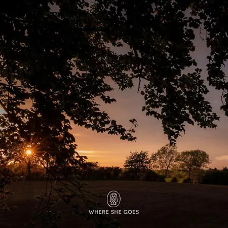 Treehouse Escape 캠프장 *