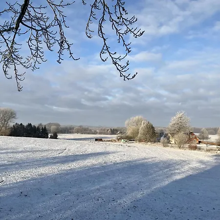 캠프장 Treehouse Escape *