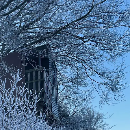 Treehouse Escape Parque de Campismo Kvaerndrup