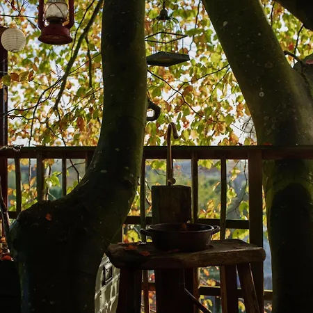 Treehouse Escape 캠프장 *