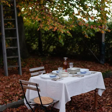 Parque de Campismo Treehouse Escape *