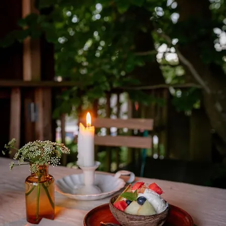 Treehouse Escape 캠프장