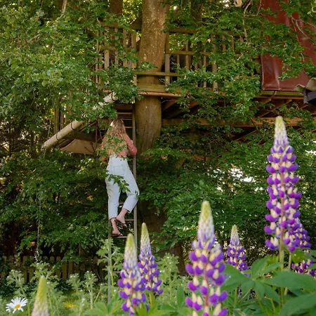 Treehouse Escape Campingplatz