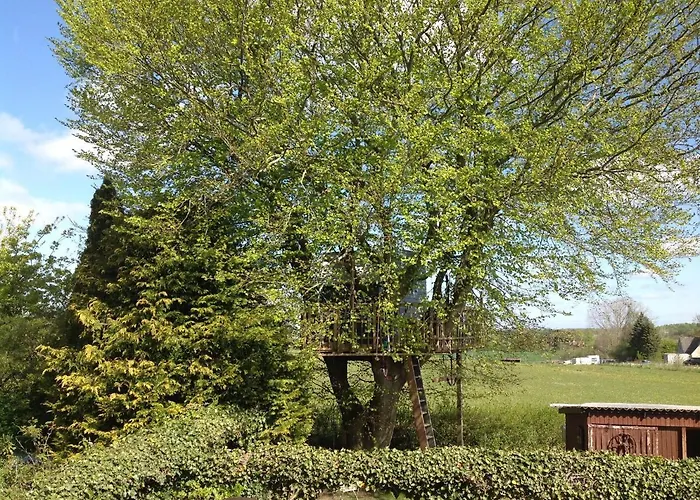 Treehouse Escape Κάμπινγκ *