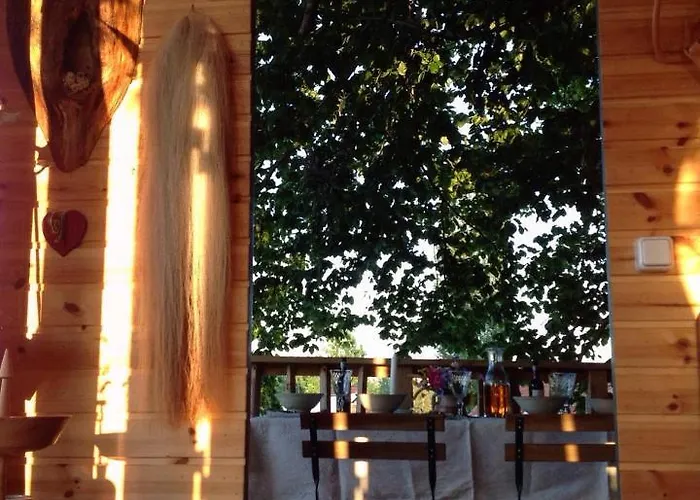 Treehouse Escape Kvaerndrup