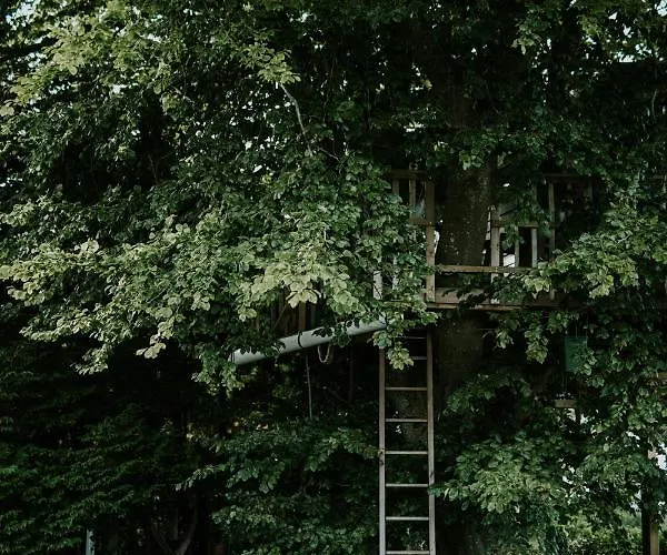 Treehouse Escape مكان تخييم