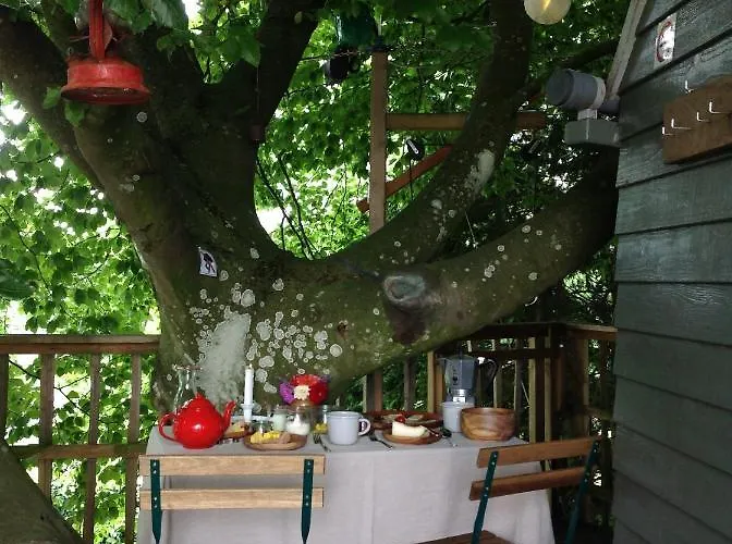 مكان تخييم Treehouse Escape
