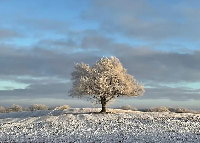 Treehouse Escape * Kvaerndrup