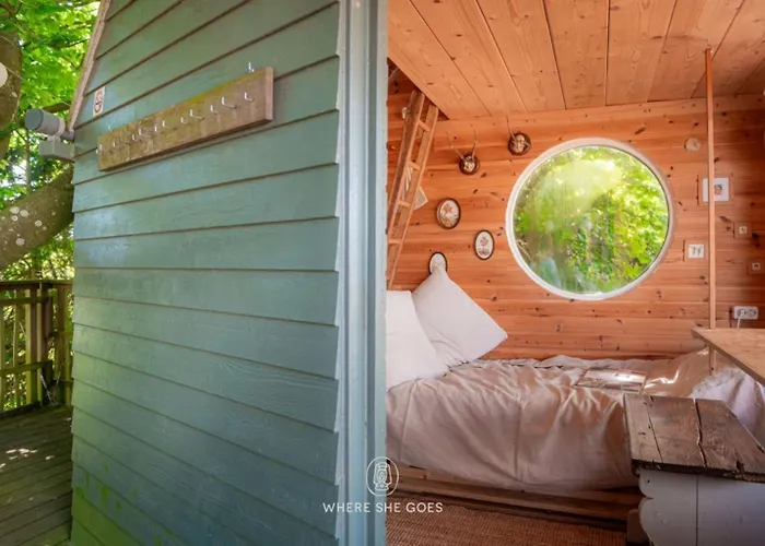 مكان تخييم Treehouse Escape