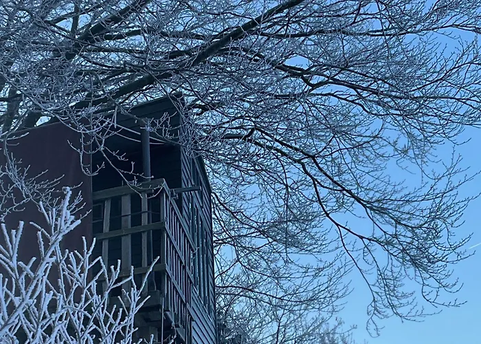 Treehouse Escape مكان تخييم Kvaerndrup
