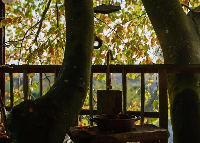 Treehouse Escape مكان تخييم *