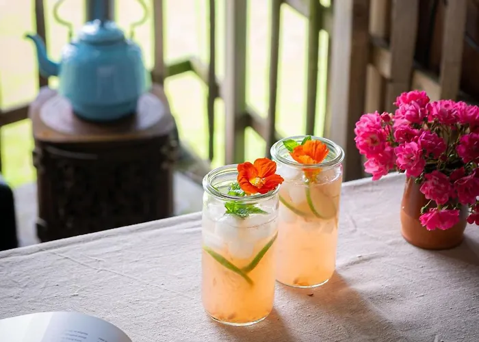 Treehouse Escape * Kvaerndrup