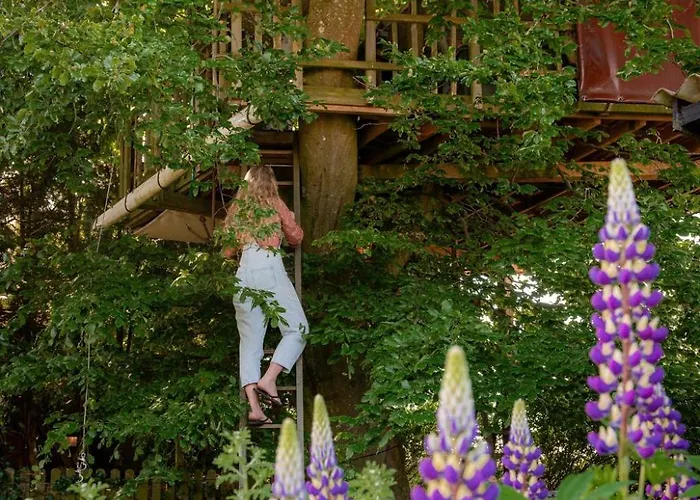 Treehouse Escape مكان تخييم
